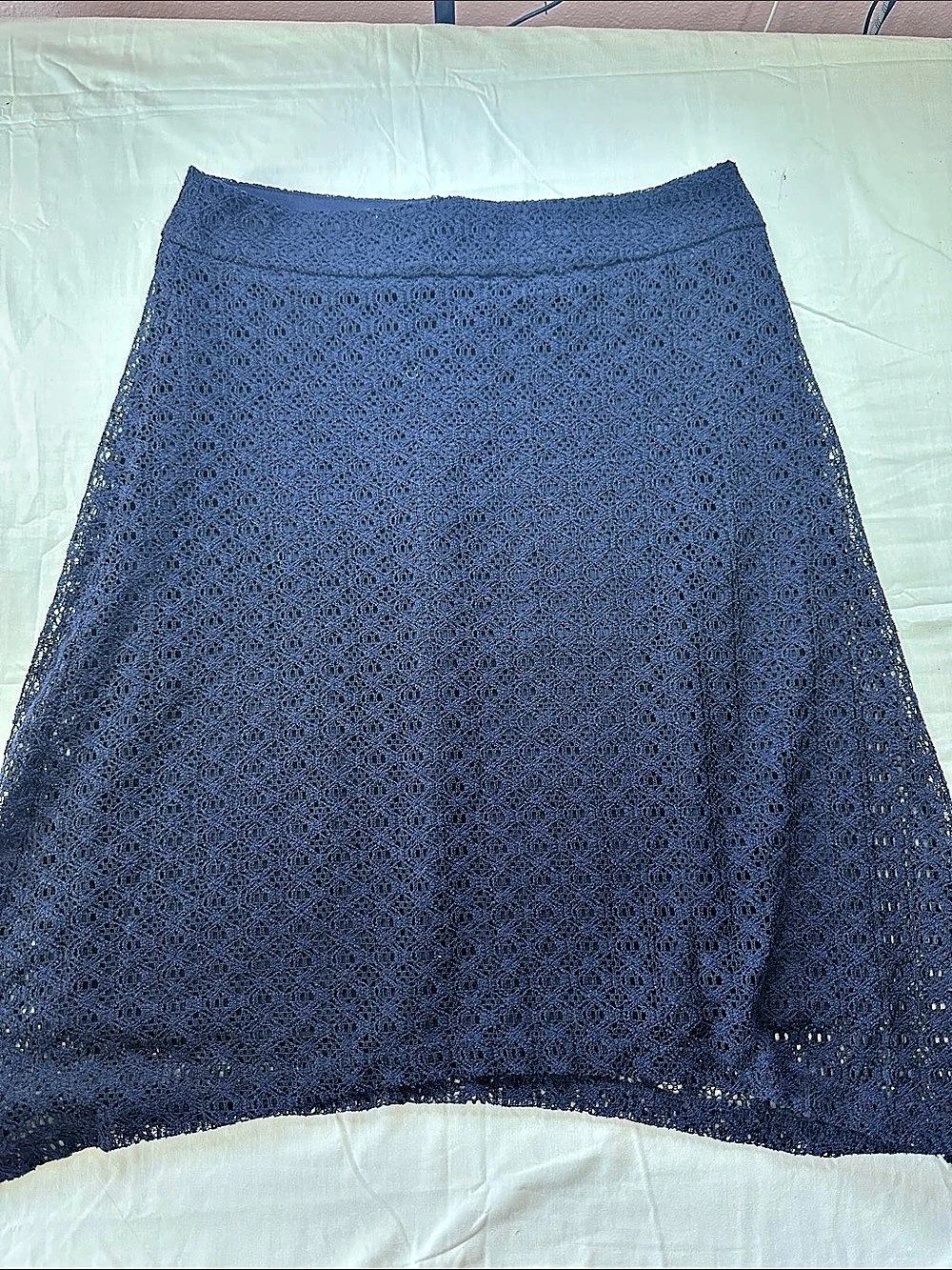 Cato Blue Lace A-Line Skirt Size 10